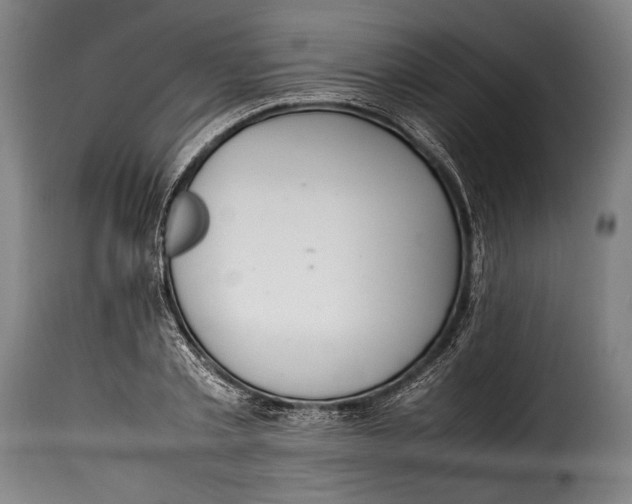 X0000115350789200911241152