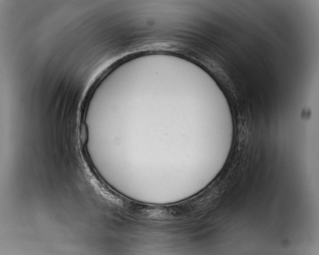 X0000115350792200911241152