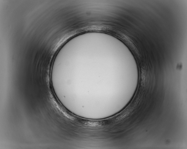X0000115350794200911241152