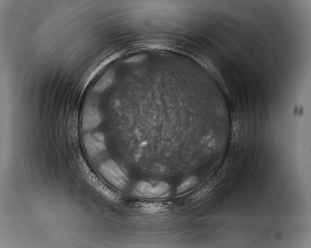 X0000115350798200911241152