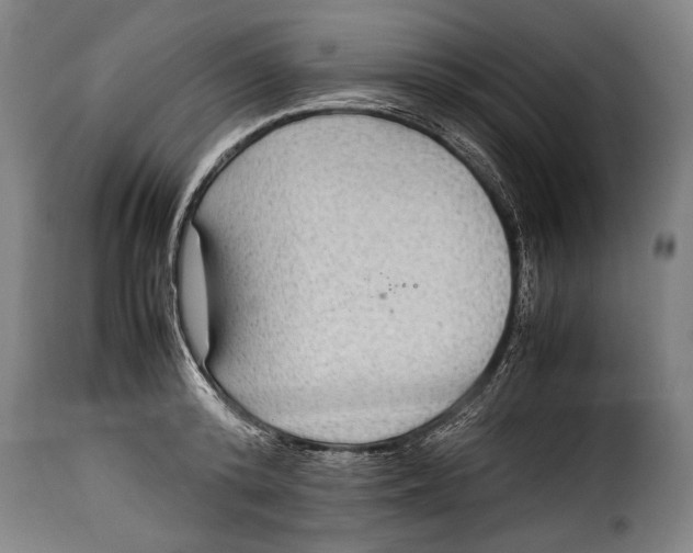 X0000115350800200911241152