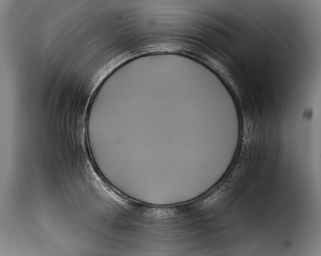 X0000115350802200911241151