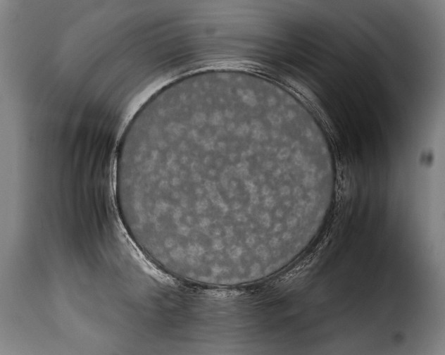 X0000115350804200911241151