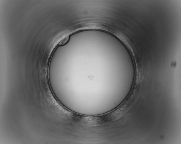 X0000115350805200911241151