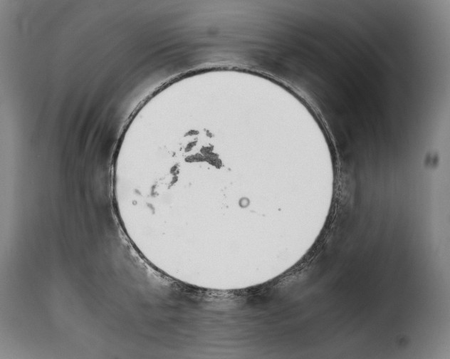 X0000115350807200911241151