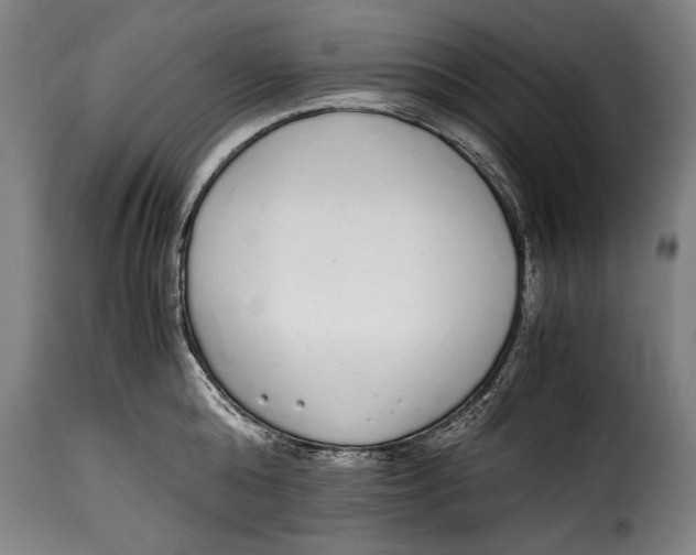 X0000115350808200911241151