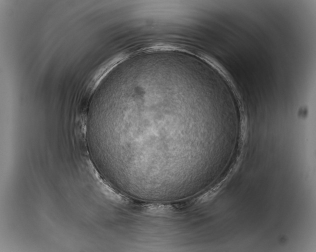 X0000115350809200911241151