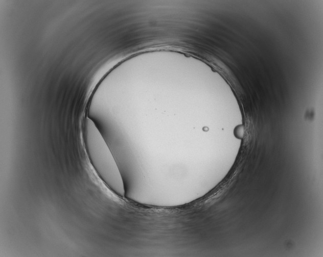 X0000115350812200911241151