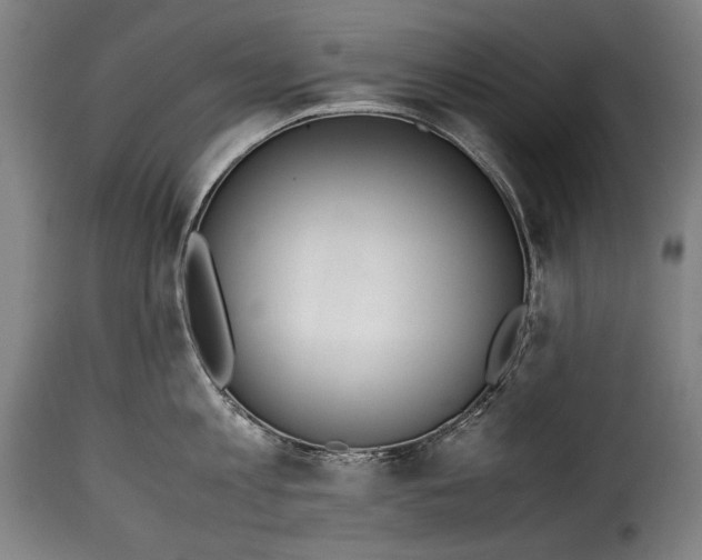 X0000115350813200911241151