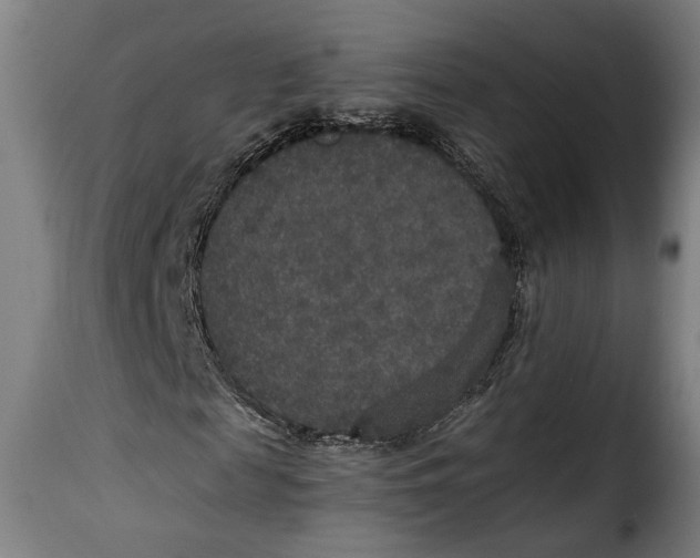 X0000115350817200911241150