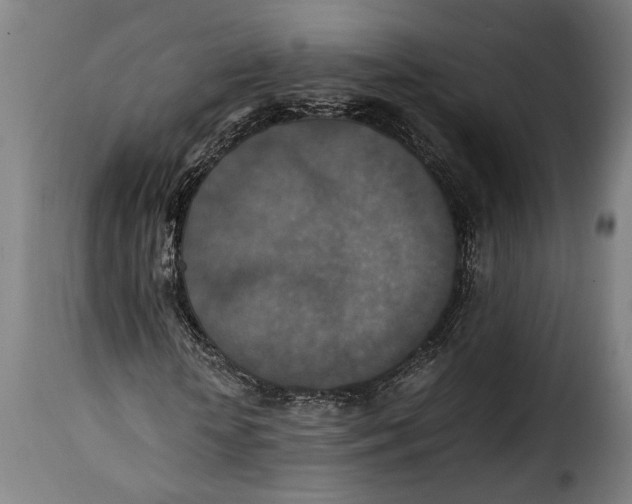 X0000115350818200911241150