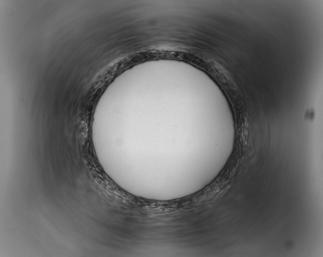X0000115350821200911241151