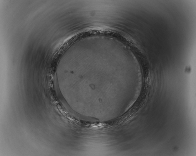 X0000115350822200911241151
