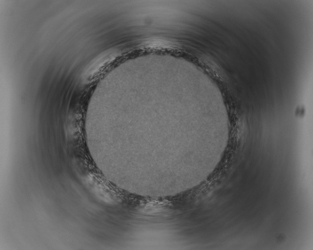 X0000115350824200911241151