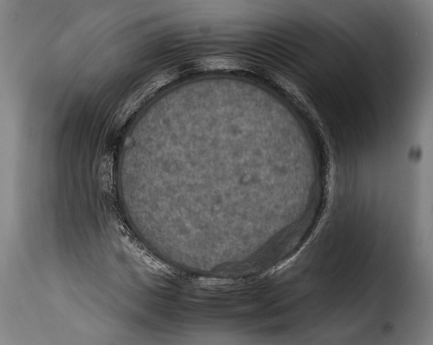 X0000115350825200911241151