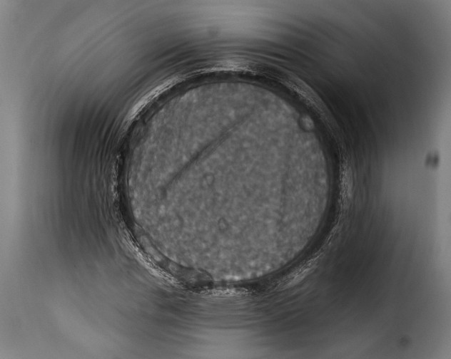 X0000115350826200911241151