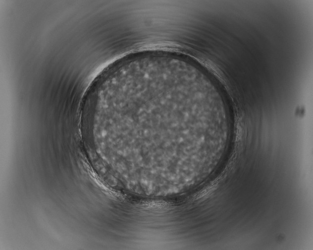 X0000115350830200911241151