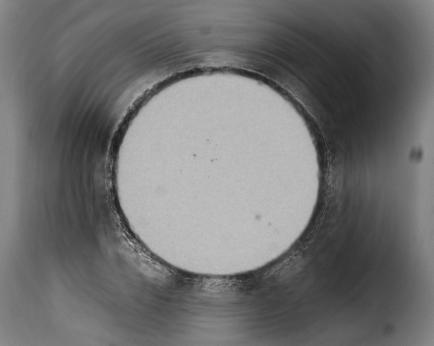 X0000115350832200911241151