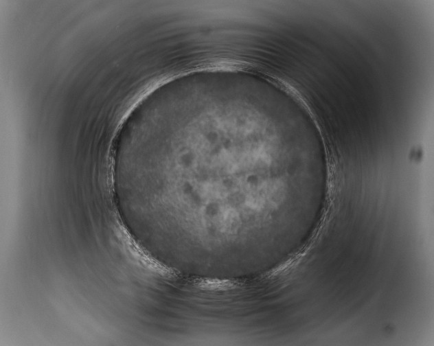X0000115350835200911241151