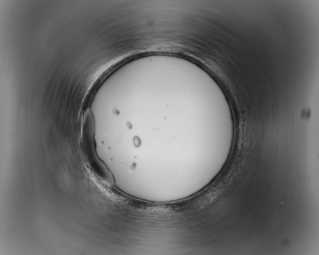 X0000115350838200911241151