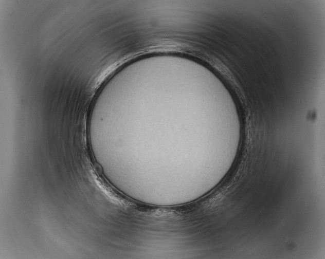 X0000115350842200911241151