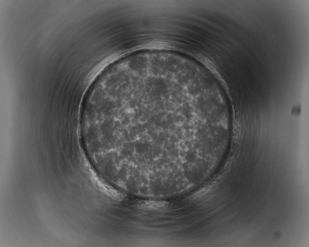X0000115350845200911241151