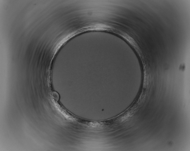 X0000115350850200911241151