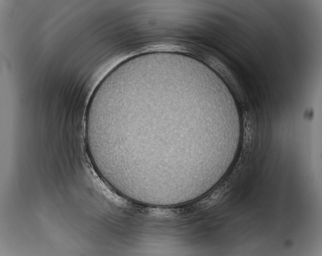 X0000115350852200911241151