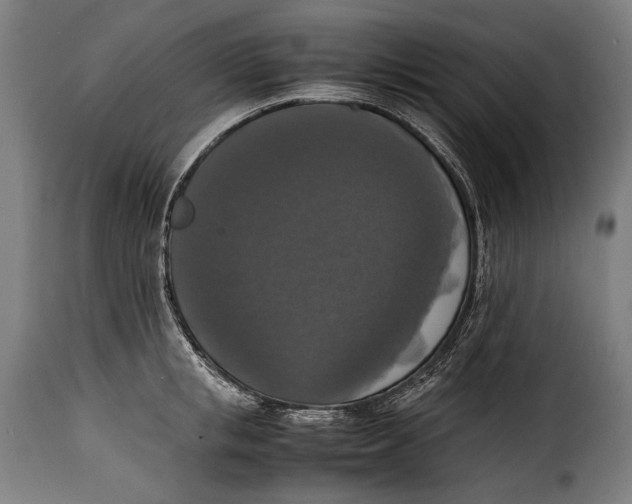 X0000115350853200911241151
