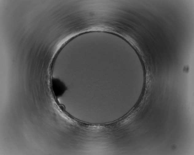 X0000115350854200911241151