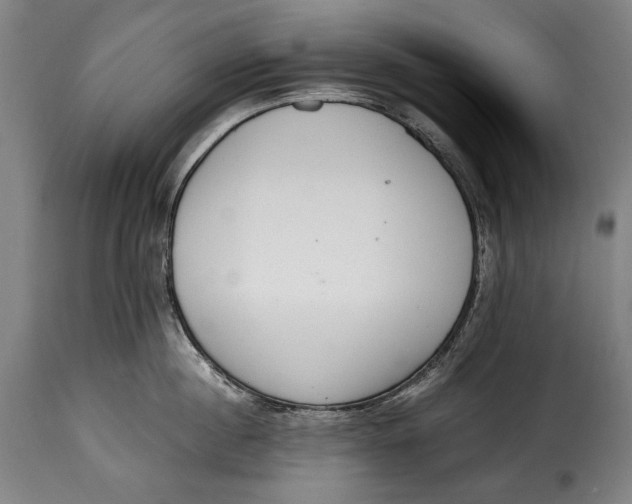 X0000115350860200911241151