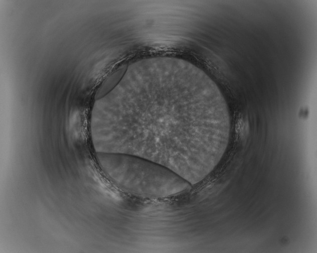 X0000115350868200911241150