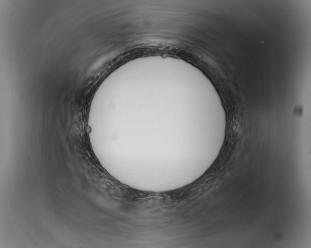 X0000115350869200911241150