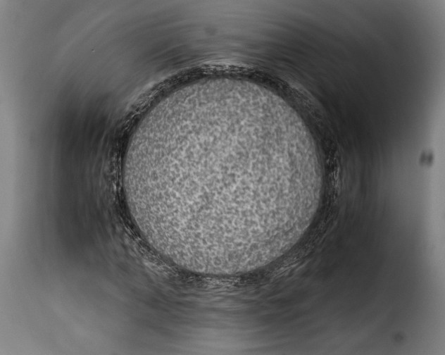 X0000115350870200911241150