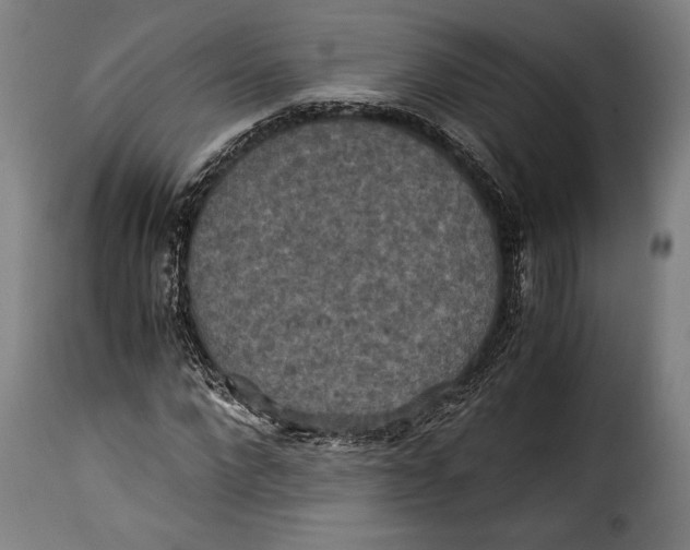 X0000115350872200911241150
