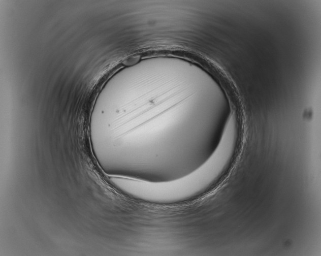 X0000115350873200911241150