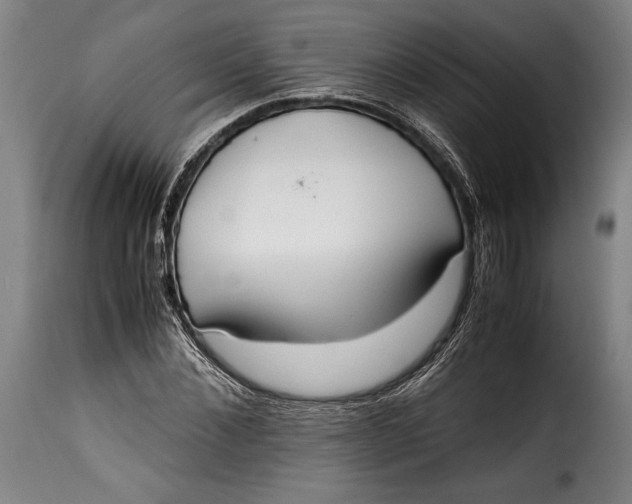 X0000115350876200911241150