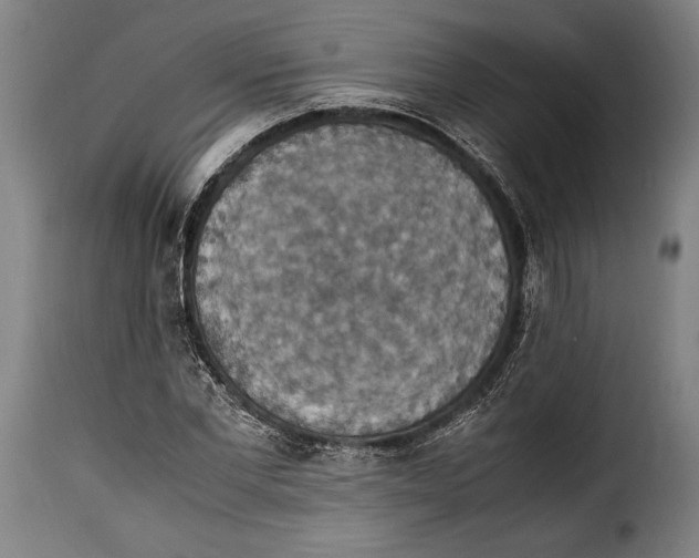 X0000115350877200911241150