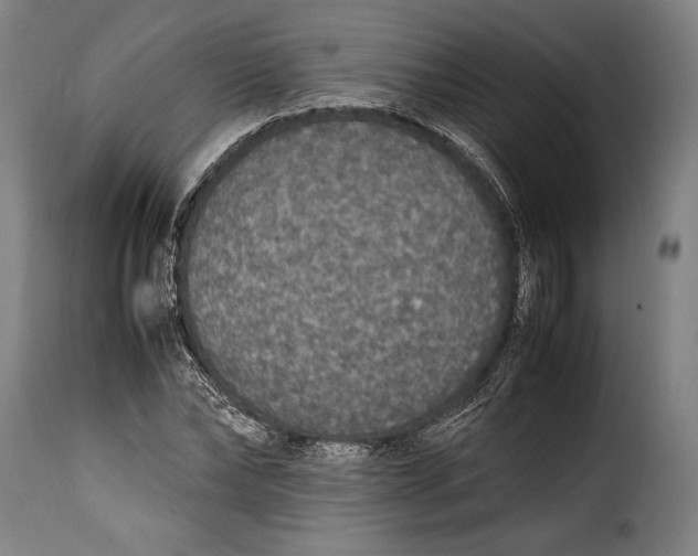 X0000115350878200911241150