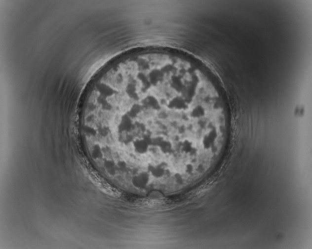 X0000115350879200911241150