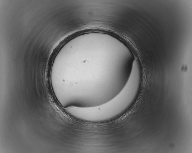 X0000115350880200911241150