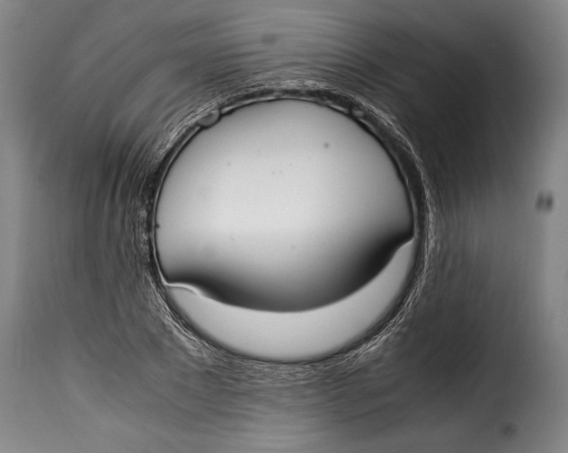 X0000115350881200911241150