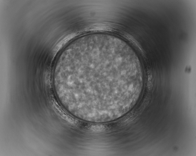 X0000115350882200911241150