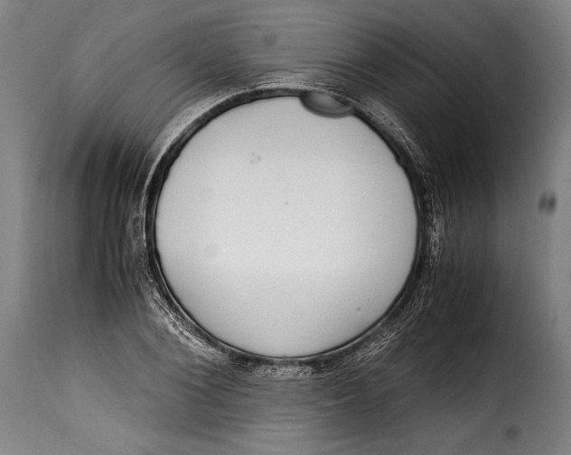 X0000115350884200911241150