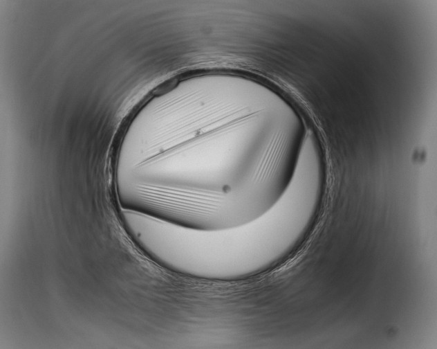 X0000115350885200911241150