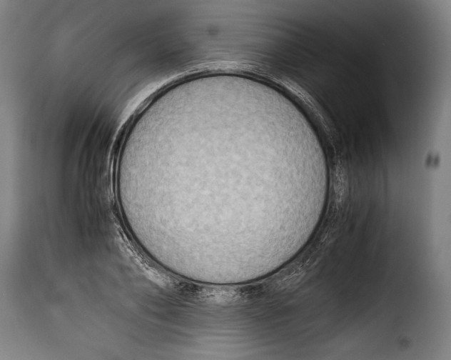 X0000115350886200911241150