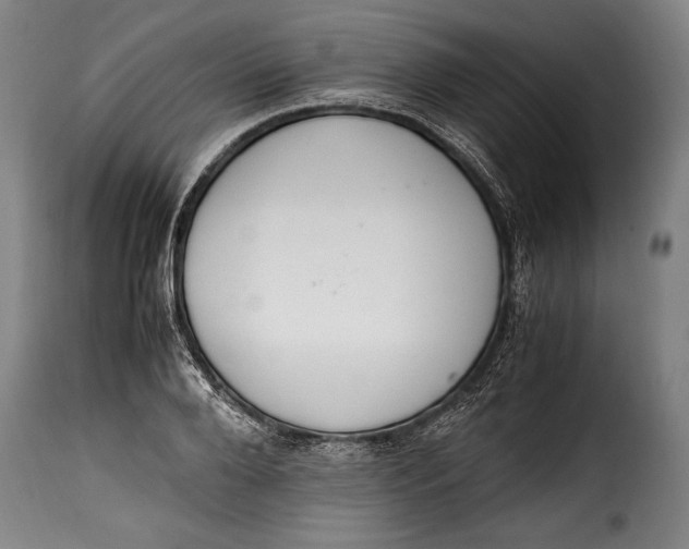 X0000115350888200911241150