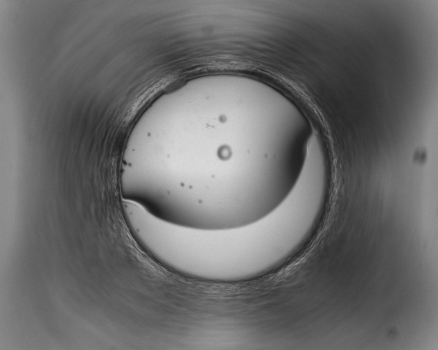 X0000115350889200911241150