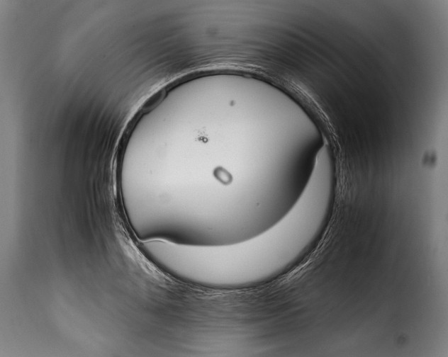 X0000115350892200911241150