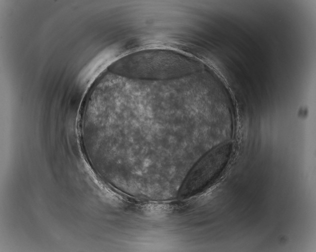 X0000115350893200911241150